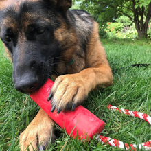 Load image into Gallery viewer, USA-K9 Firecracker Floating Chew Toy
