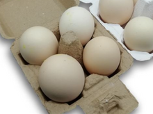 Load image into Gallery viewer, Raw Fertilized Balut Chicken Egg
